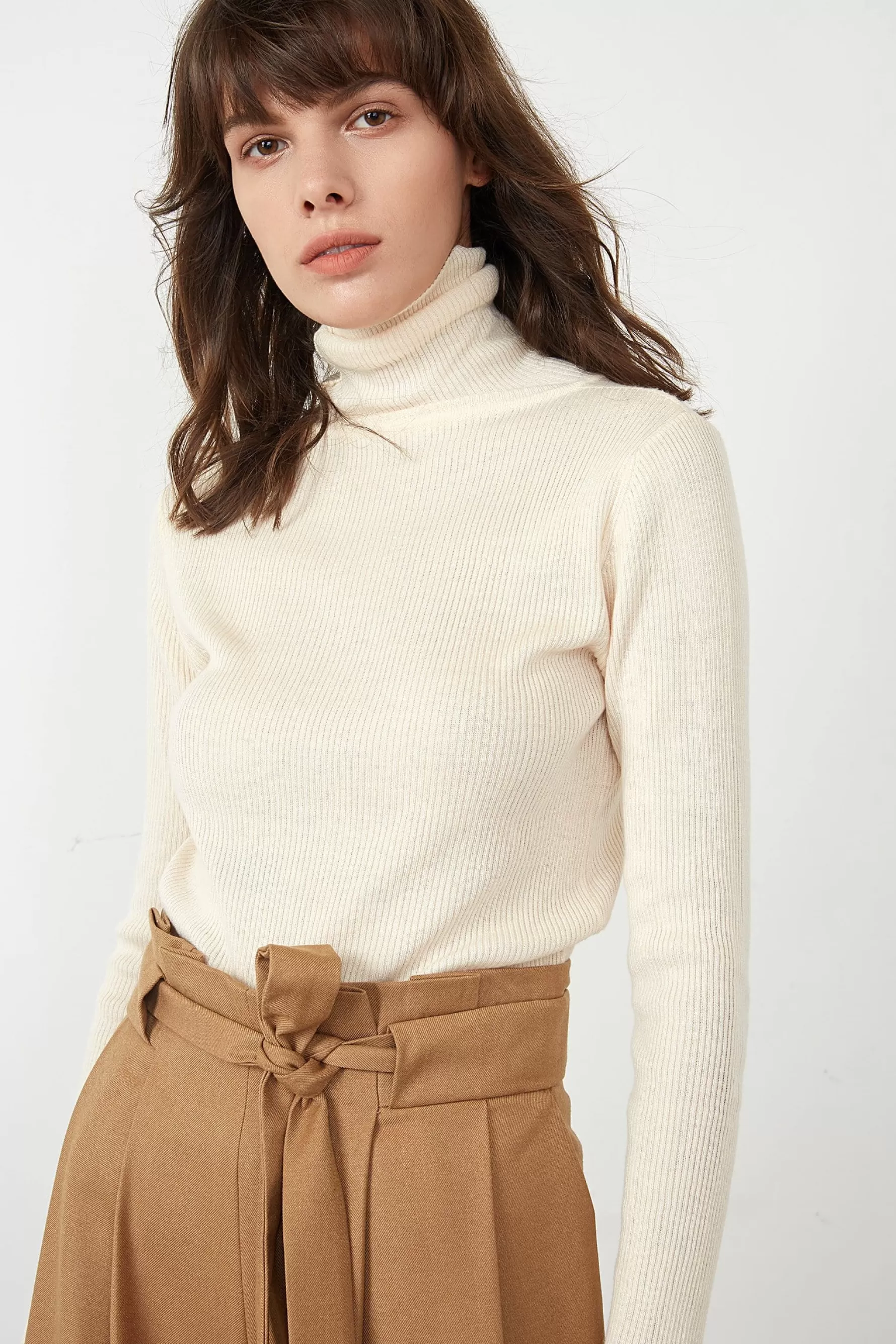 Jingus Solid Premium Wool Turtleneck Sweater-J.ING